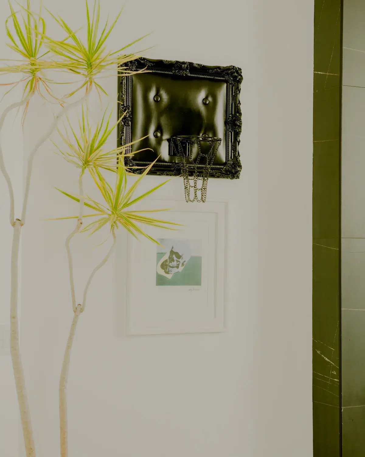 A bathroom accessory featuring a black leather hoop adorned with a plant.