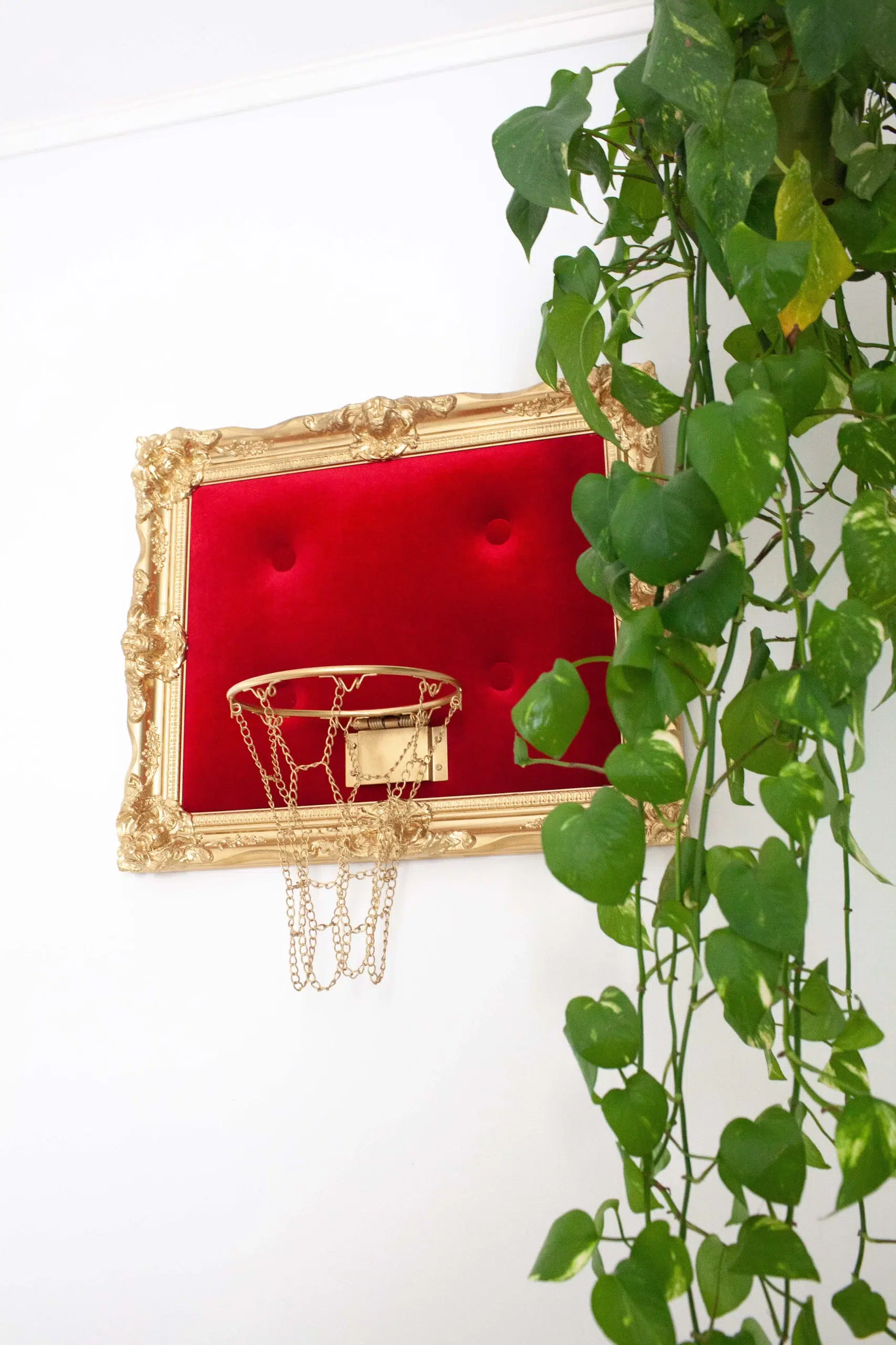 A hanging Red Velvet Hoop decor accentuating a plant on the wall.